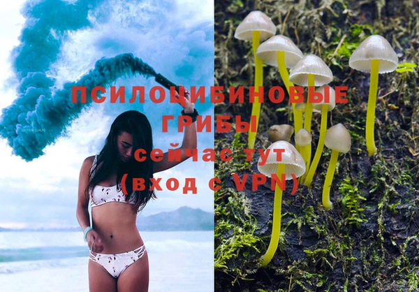 мяу мяу мука Белоозёрский
