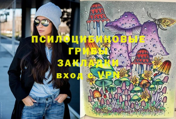 Альфа ПВП Беломорск