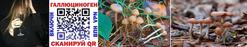 Псилоцибиновые грибы MAGIC MUSHROOMS где купить наркоту Яблоновский